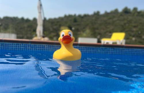 Estudio nuevo zen - Foto 51