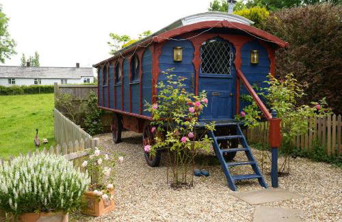 Colly Farm - Photo 2