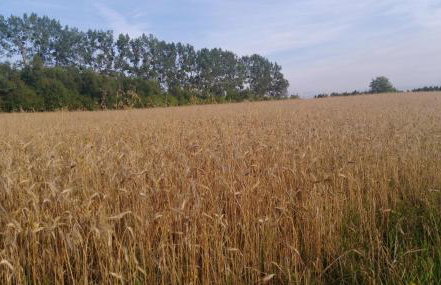 Apartamenty Holiday Slaw jacuzzi bilard - Foto 66