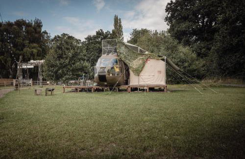 Oscar the Puma at Field of Dreams - Foto 9