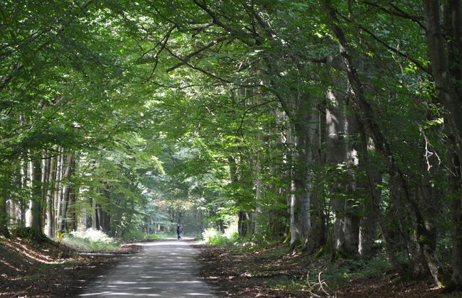 Wonderful Loft near Bastogne in Castle of Xviith History - Foto 38