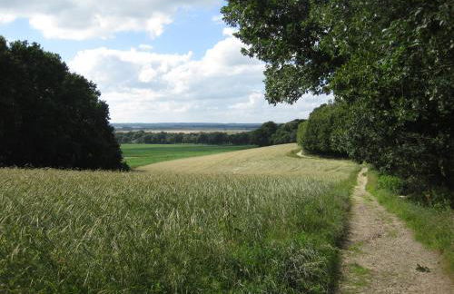 Atelierhaus Tannenweg - Foto 7
