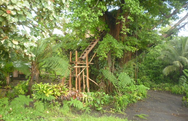 Castle Tree House - Photo 27