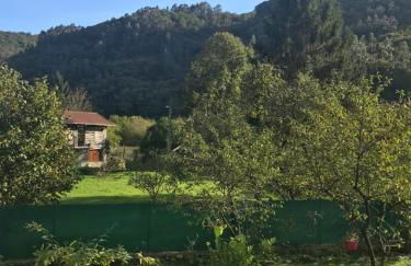 Ca Rifo, casa rural en Asturias, puerta de Somiedo a orillas del río Narcea - Foto 48