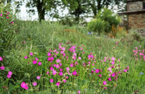 1 Bed in Yelverton oc-cammo - Foto 17
