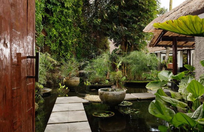 Omecure by Nakula - Photo 1