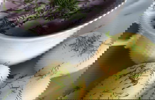 agroturystyka Kurnik Polski - Foto 16