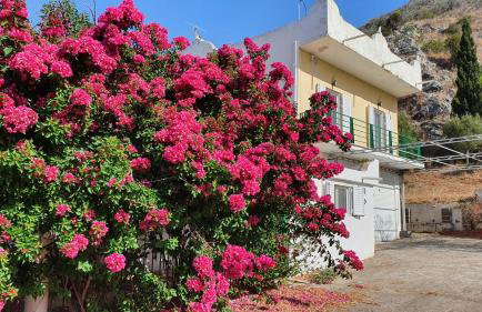 Villa Dunes 350m from the sandy beach - Foto 7