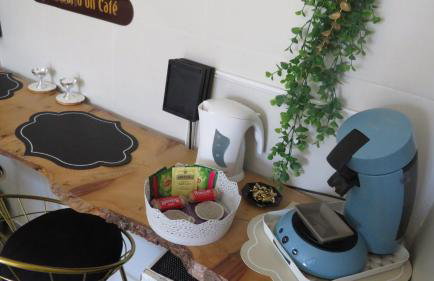Jacuzzi Clim table de massage jardin et barbecue au cœur de Perpignan - Foto 32