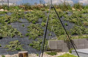 Kaszubska Lawenda Żuromino, Domek nr 3 - Foto 13