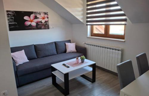 Apartman OBLAK Ravna gora - Foto 3