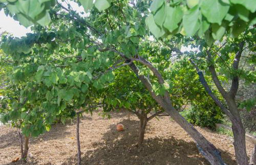 Marina's House - Photo 16