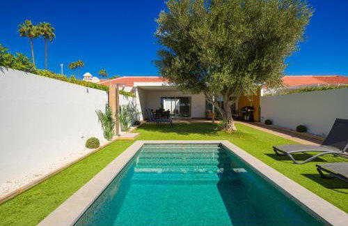 Pasito Blanco Villas - Foto 38