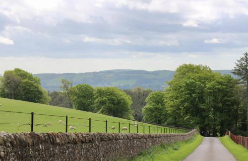 North Lodge - Foto 26