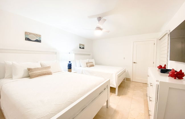 Xeliter Green One Playa Dorada - Foto 4