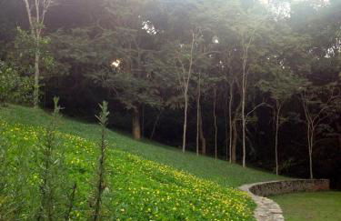 Reserva Atibaia / Casa de Montanha - Photo 15