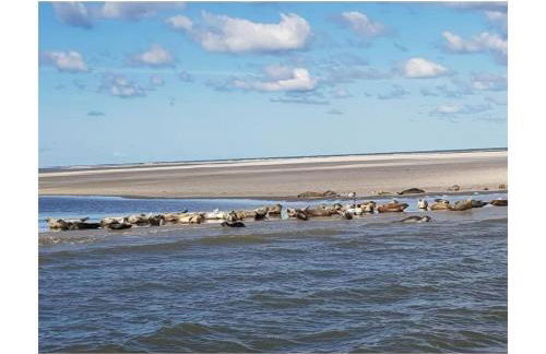 Holiday home with 3 bedrooms - Foto 27