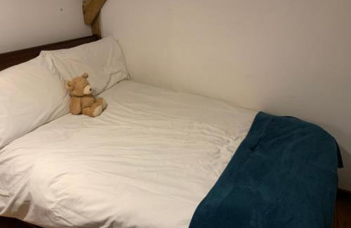 Molland Manor House Self catering (10 bedrooms 9 bathrooms) - Foto 22