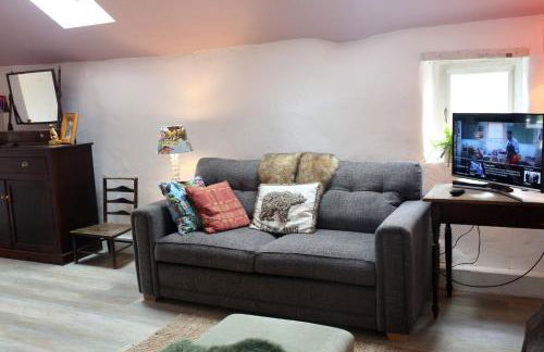 The Bw thyn - Ceredigion - Photo 33