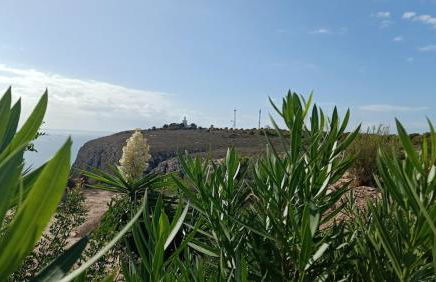 Between the sky and the sea - Foto 24