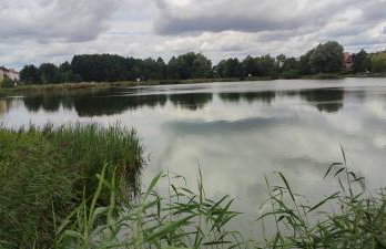 LAZARÓWKA - RYBNO - Foto 21