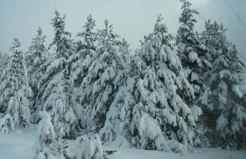 Luxurious Residence at the Village Square - Foto 41