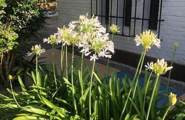 Casa de Campo & Home Office - Itapecerica da Serra , perto do Embu das Artes - Photo 23