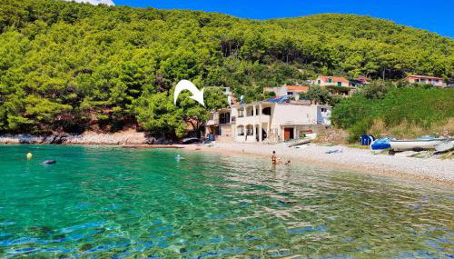 Robinson Borik - Foto 2