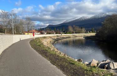 Conifer Cabins - Photo 2