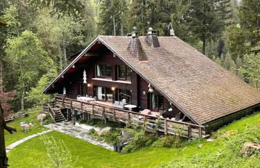 Large peaceful chalet for mountain adventures! Perfect for Flégère and Grand Montet skiing - Foto 71