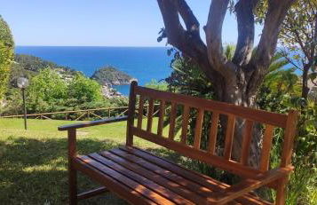 Il giardino sull'isola - Appartamento - Bergeggi - Foto 4