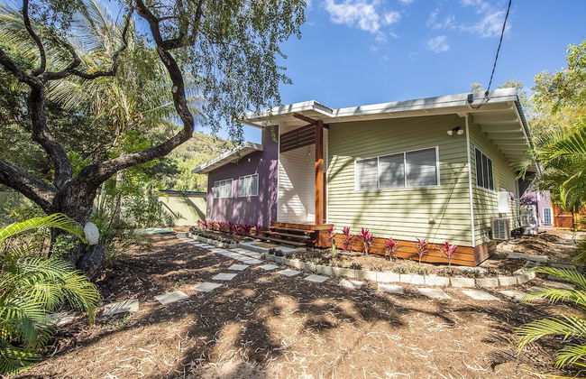 Papillon Bleu - Foto 21