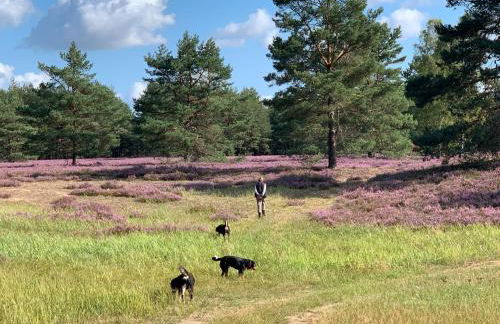 Familienhaus - Foto 30