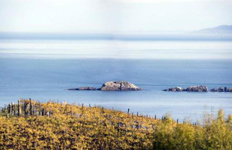 ATeRiAN MANDABIDE - Foto 54