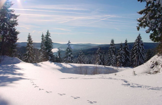 Holiday Home in Einberger Switzerland - Foto 22