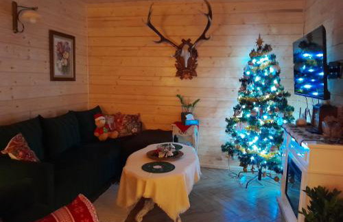 Agroturystyka Przy Siole Budy - Foto 65