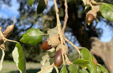 Smart Apartments Facinas - Foto 41