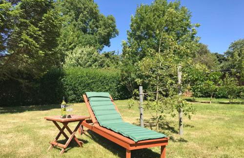 Schleimuschel - Photo 20