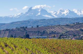 Villa Elodie - Foto 49