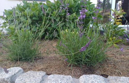 Willa Przygoda - Photo 19