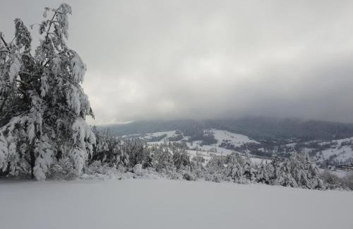 Przystanek Letnisko - Foto 32