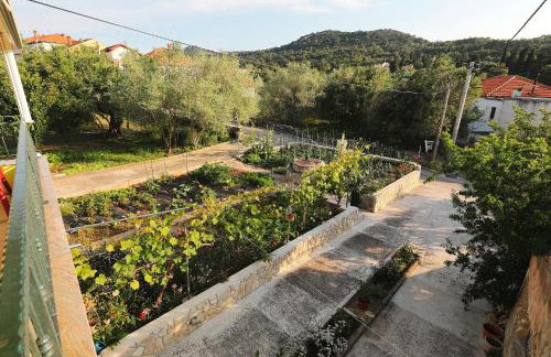 Senkini Dvori - Photo 51