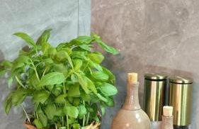 Apartment am Waldrand mit Einzelgarage, Nähe City, Messe & Flughafen - Foto 31