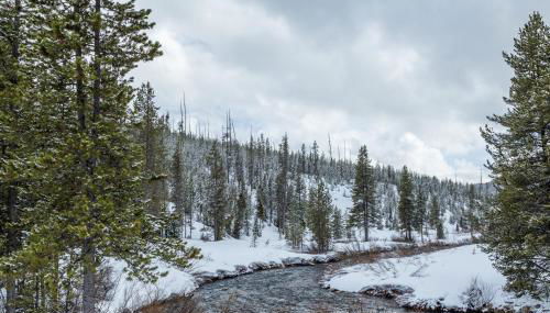 Lone Walker Home - Foto 4