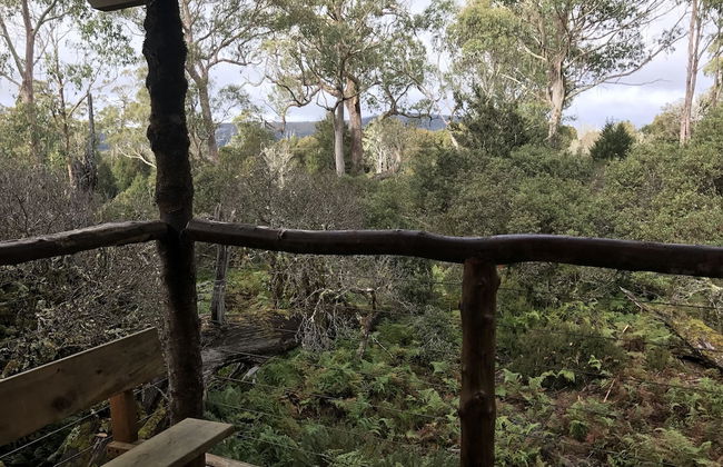 Cradle Highlander - Foto 72