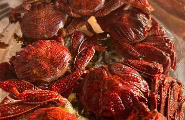 Welcome to Casa Fitz with Ocean Views and Air Conditioning - Photo 40