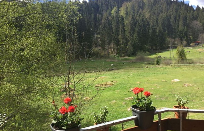 Holiday Apartment Finkennest - Foto 21