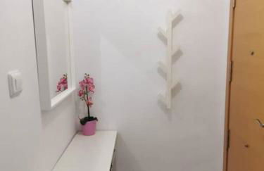 Ático con Terraza en Centro Elche - Foto 28