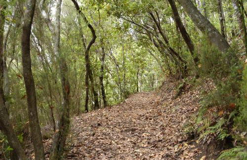 Precioso Apto Caleta Interian Beach By Paramount Holidays - Foto 52