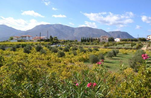 Christina Villas- Minoan inland - Foto 72